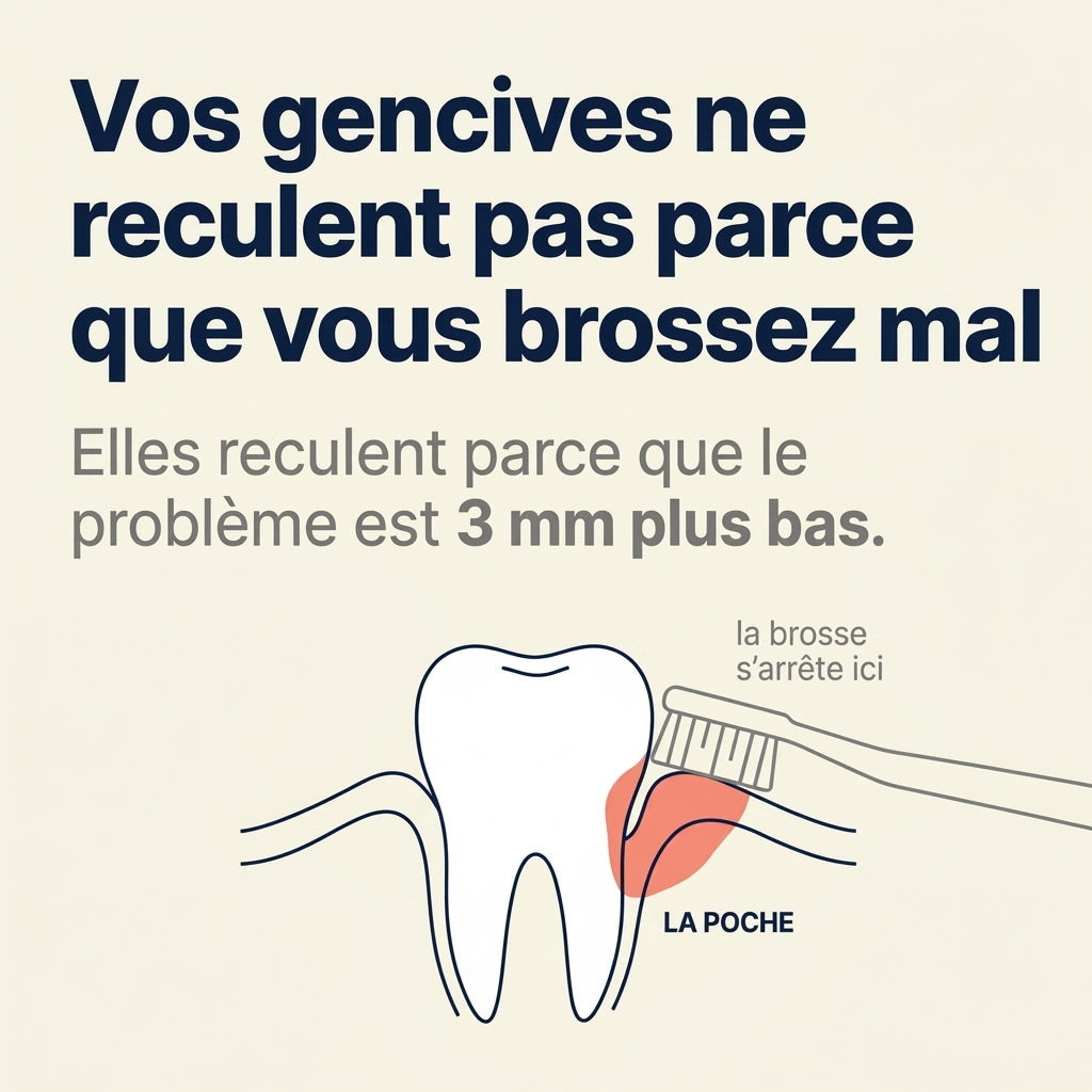 Vos gencives ne reculent pas parce que vous brossez mal